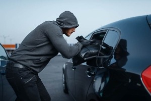 robber stealing handbag parked car